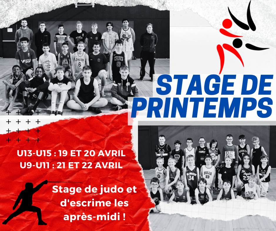 Basket printemps online